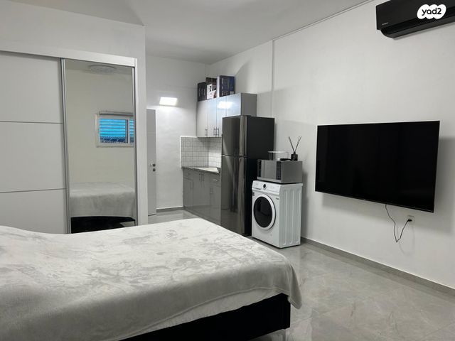 דוד אלרואי 11