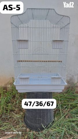 תמונת מודעה - חיות מחמד