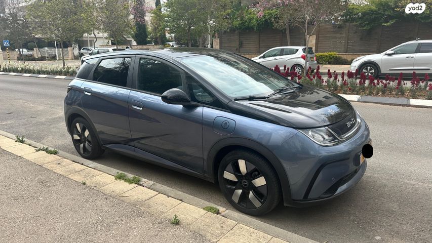 מודעת רכב בי.ווי.די דולפין