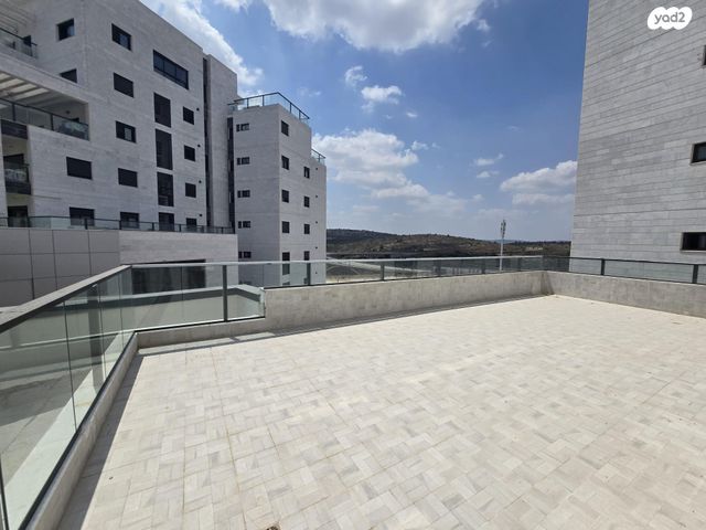 לוי אשכול 10