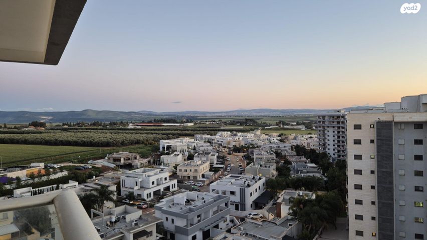 שושנה דמארי 4