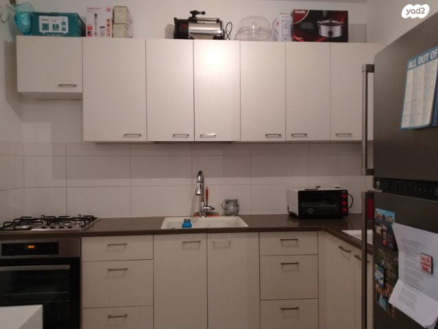 אחיה השילוני 2