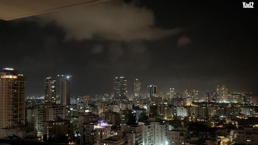 הדקל 7