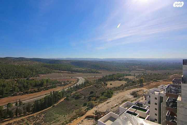 רועי קליין 21