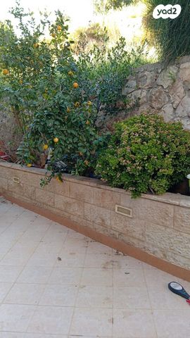 חוזה סן מרטין 19