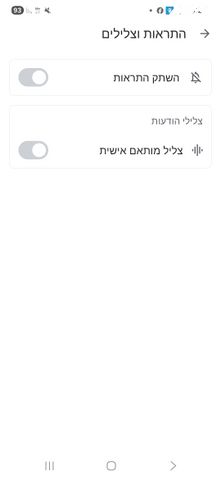 ז'בוטינסקי 4