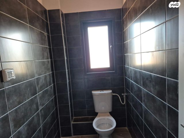 מרבד הקסמים 1