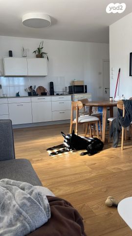 מעלה הרתמים 4