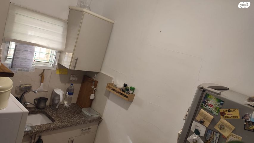 אלכסנדר זייד 12