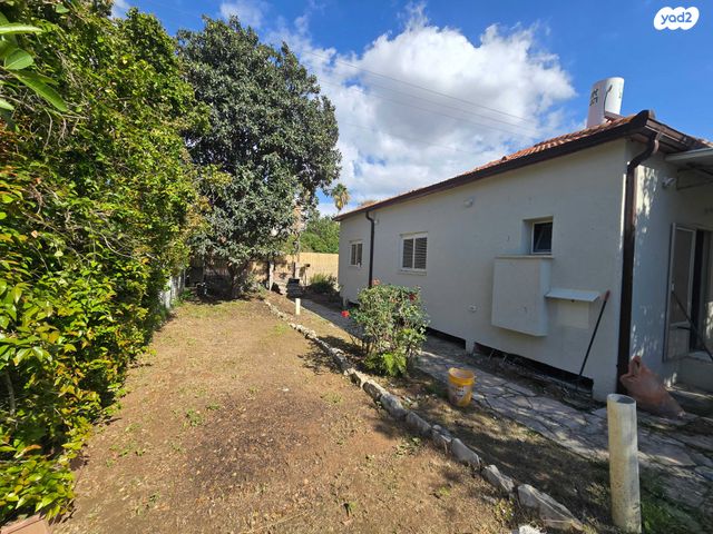 עמיאל רוז'נסקי 1