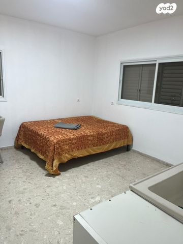 ליאונרדו דה וינצ'י 1