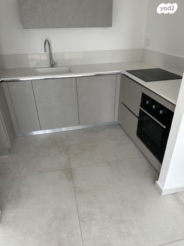 ליאונרדו דה וינצ'י 12