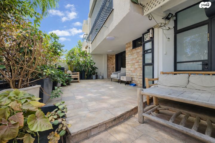 הרב יצחק הלוי 