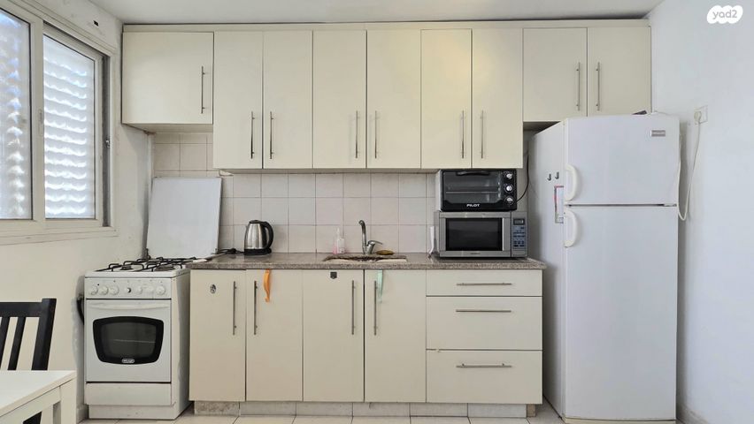 אלכסנדר ינאי 28