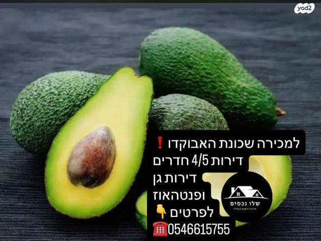 דירה
