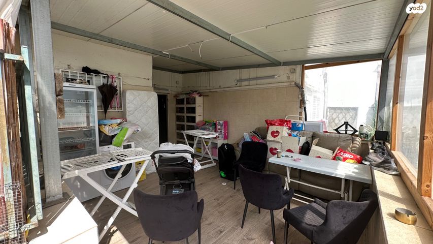 מקס וג'סי כהן 6