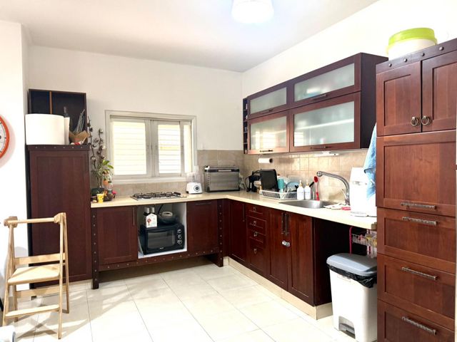 שמריהו לוין 