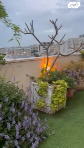 מרום נווה, רמת יצחק