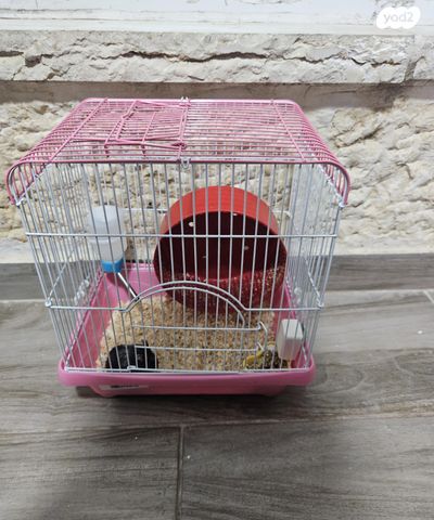 תמונת מודעה - חיות מחמד