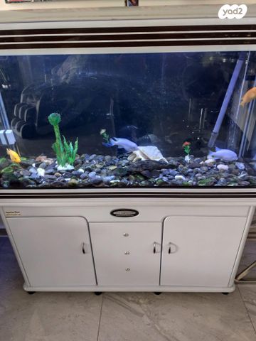 תמונת מודעה - חיות מחמד