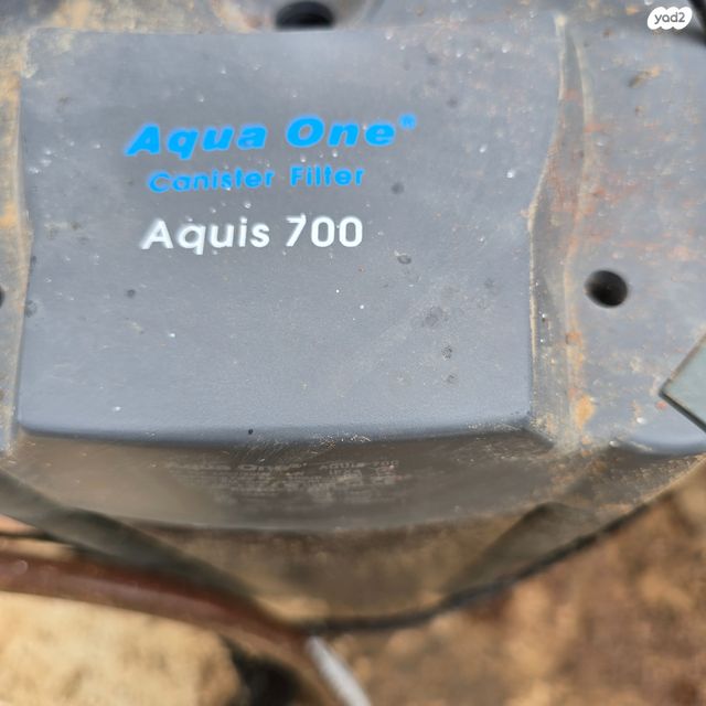 תמונת מודעה - חיות מחמד