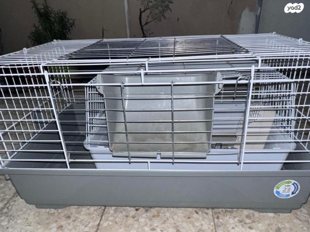 תמונת מודעה - חיות מחמד