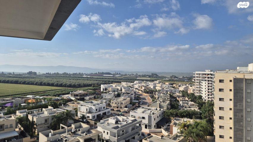 שושנה דמארי 4