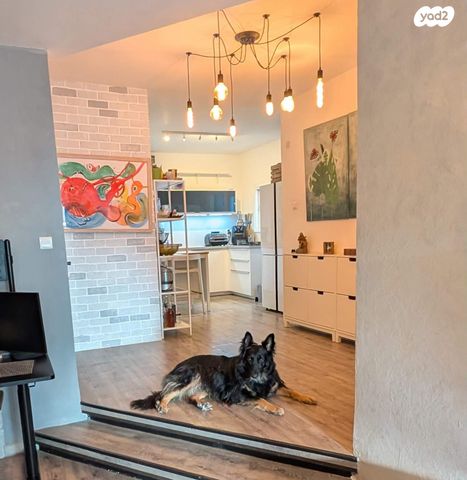 דוד הראובני 7