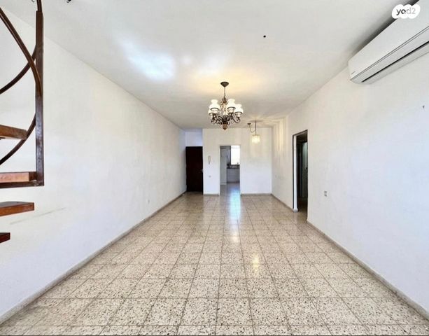 ברודצקי אשר 33