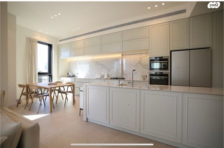 ליאונרדו דה וינצ'י 12