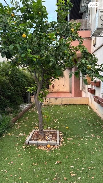 ארלוזורוב 86