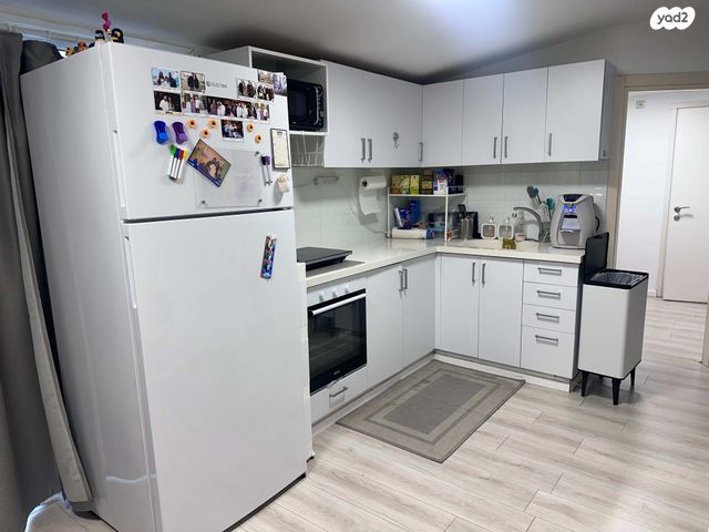 דגל ראובן 37