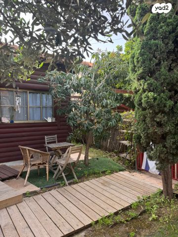 שושנת העמקים 12