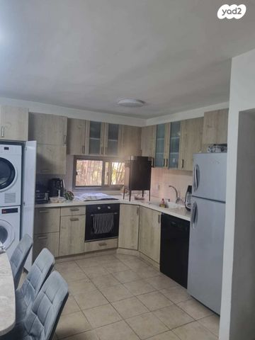 דוד רזיאל 19