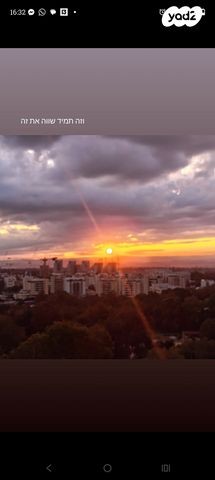 רועי קליין 6