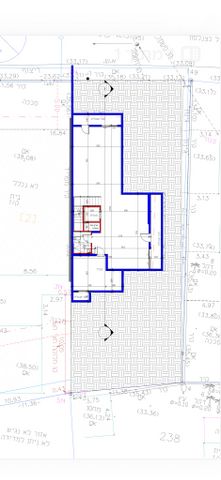 ברל כצנלסון 