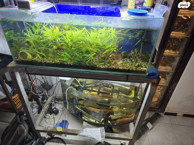 תמונת מודעה - חיות מחמד