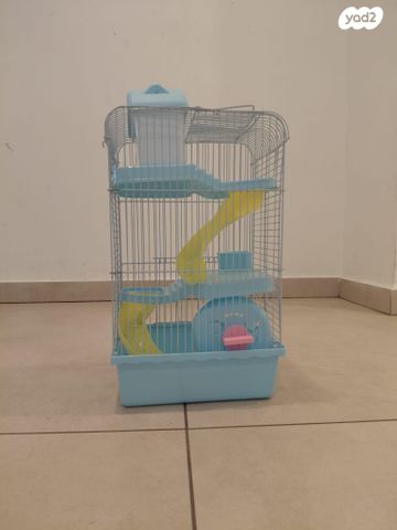 תמונת מודעה - חיות מחמד