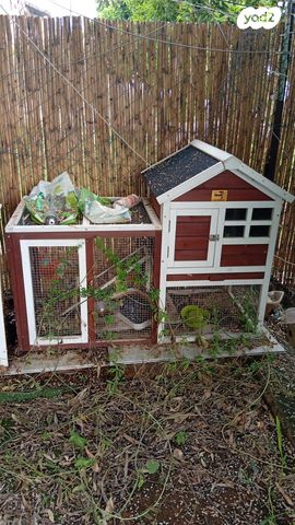 תמונת מודעה - חיות מחמד