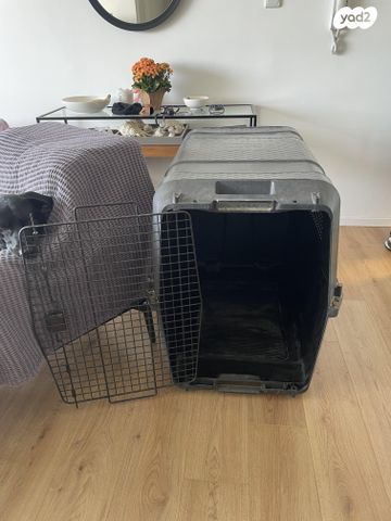 תמונת מודעה - חיות מחמד