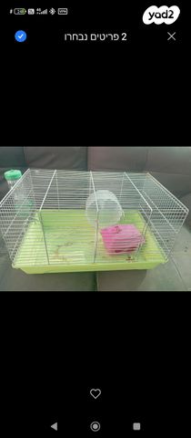 תמונת מודעה - חיות מחמד