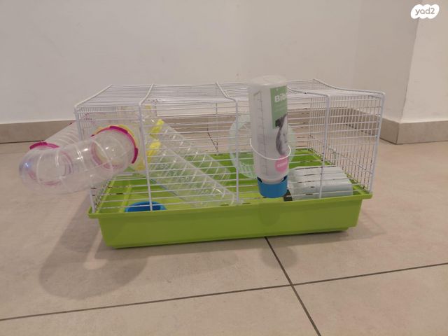 תמונת מודעה - חיות מחמד