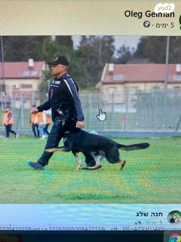 תמונת מודעה - חיות מחמד