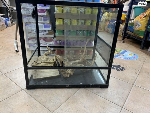 תמונת מודעה - חיות מחמד