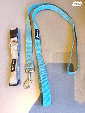 תמונת מודעה - חיות מחמד