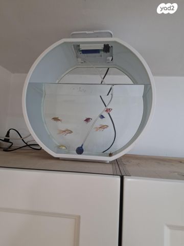 תמונת מודעה - חיות מחמד