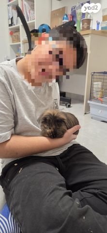 תמונת מודעה - חיות מחמד