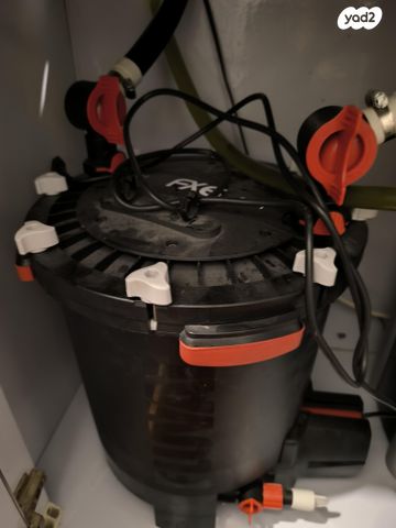 תמונת מודעה - חיות מחמד