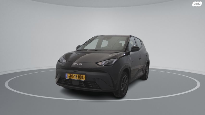 מודעת רכב בי.ווי.די דולפין