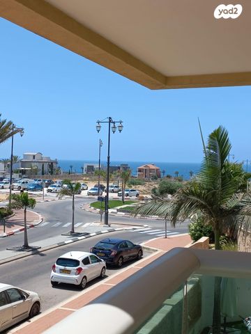 רחבעם זאבי 17